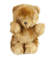 a plush teddy